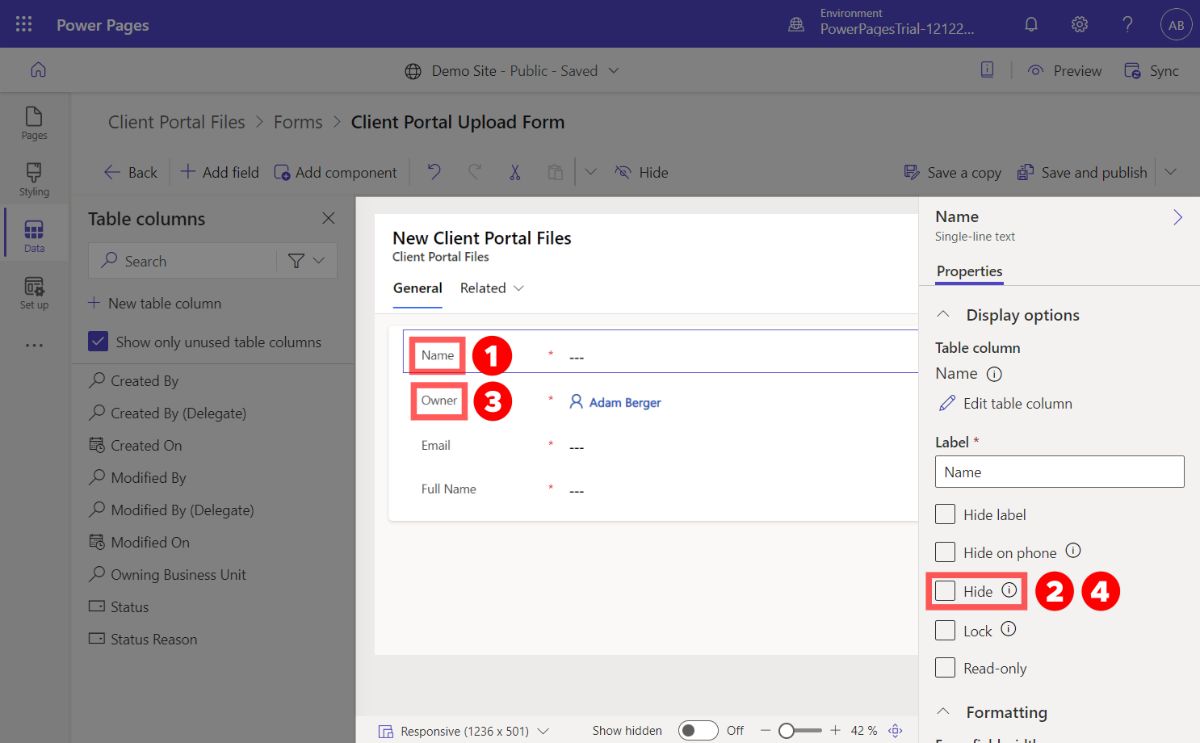 Hiding fields in Power Pages forms