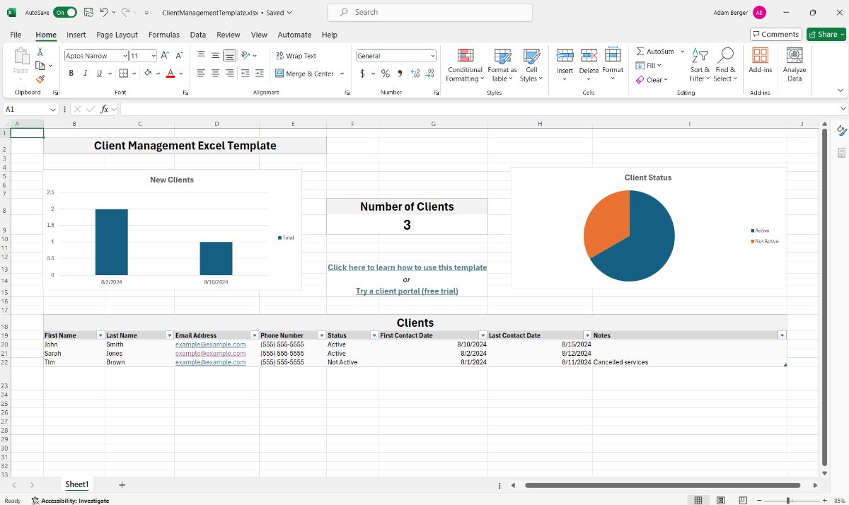 Free Client Management Excel Template