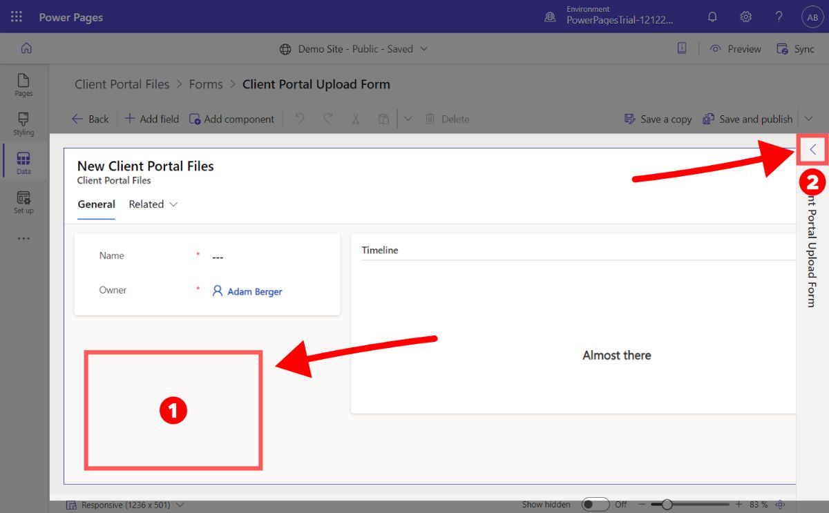 Removing timeline from a Power Pages form