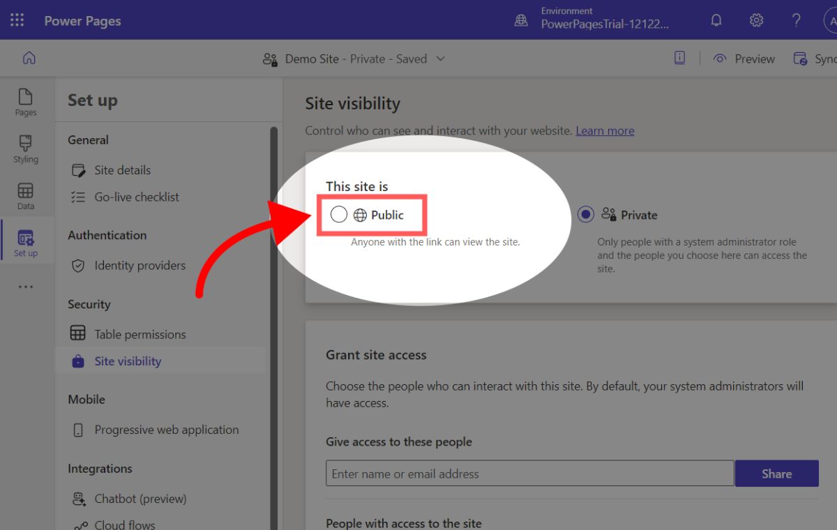 Setting your Power Pages site as public