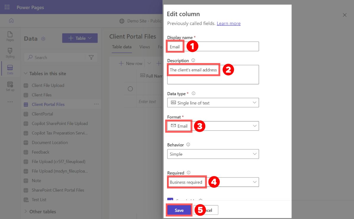 Updating the email field on a Power Page dataset